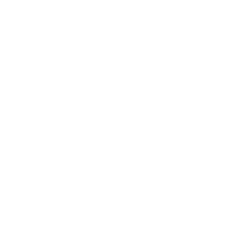 Web and Systems Development Icon